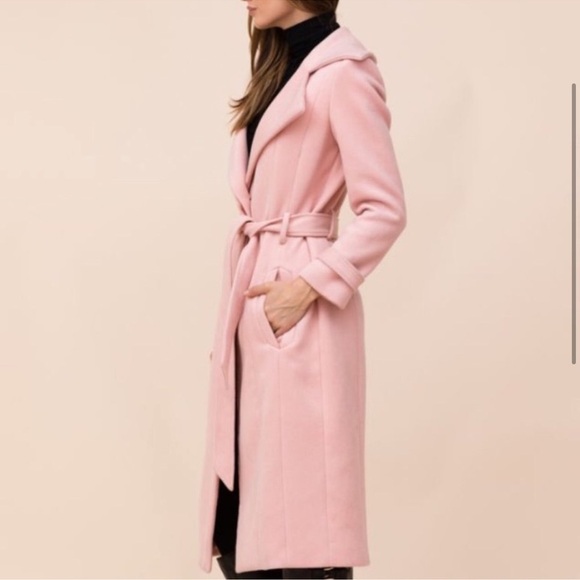 Yumi Kim Coat in Blush - Picture 4 of 14